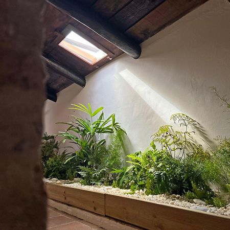 Telheiro Casa Do Avo Zezinhoヴィラ エクステリア 写真